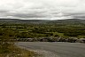 irland060.jpg